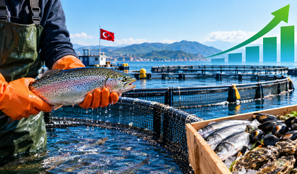 Su Ürünleri Yetiştiriciliğinde Destek Tutarları Yükseltildi: Temel Desteklere Ve Kriterlere Dev Zam