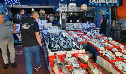 Tokat’ta Balık Satış Noktalarında Sıkı Denetim Mesaisi