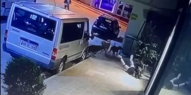 SOKAK KÖPEKLERİNİN SUDE'YE SALDIRDIĞI ANLAR KAMERADA