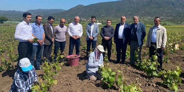 Erbaa Ziraat Odası Başkanı Arif Yılmaz Köksal’dan 14 Mayıs Çiftçiler Günü Mesajı