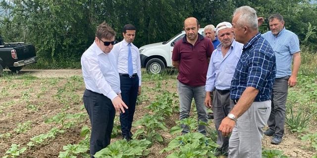 Kaymakam Demirayak Sera Ve Üzüm Bağlarında İncelemede Bulundu