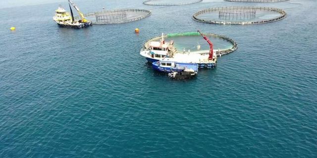 Türkiye, Su Ürünleri Yetiştiriciliğinde Avrupa'da 1'inci Sırada
