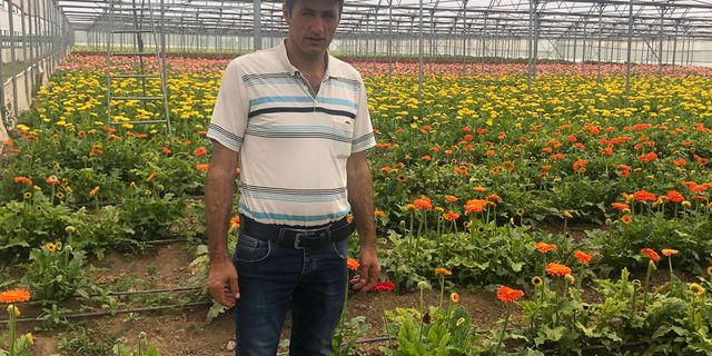Erbaa Kesme Çiçek Üreticileri Afette Yıkılan Seraları İçin Destek Bekliyor