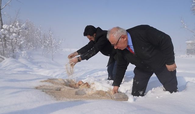 ERBAA’DA SOKAK HAYVANLARI İÇİN DOĞAYA YEM BIRAKILDI