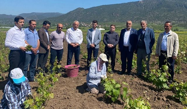 Erbaa Ziraat Odası Başkanı Arif Yılmaz Köksal’dan 14 Mayıs Çiftçiler Günü Mesajı