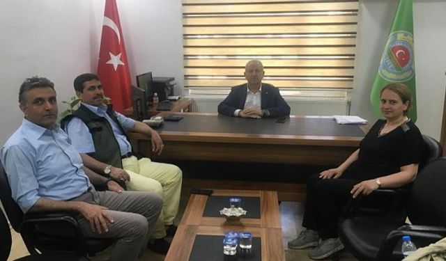 TMO Genel Müdürlüğü Teknik Elemanları Erbaa’da Fındık Bahçelerinde Araştırma Yaptı