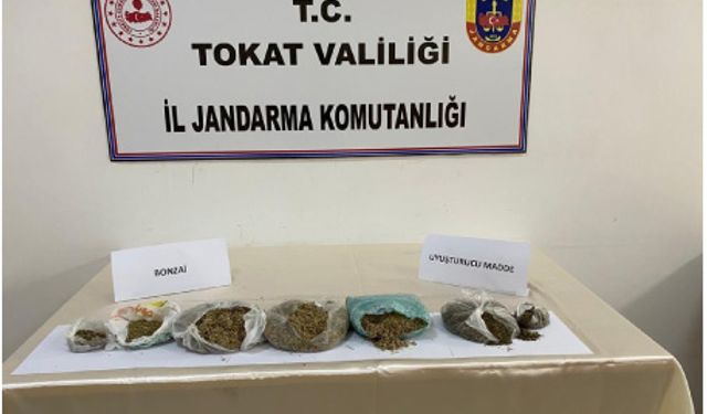Tokat'a Uyuşturucu Operasyonu : 2 Gözaltı