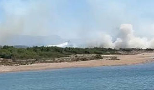 Antalya’da Orman Yangını : Kontrol Altına Alındı
