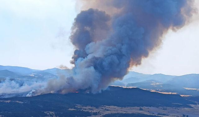 Eskişehir'de Orman Yangını