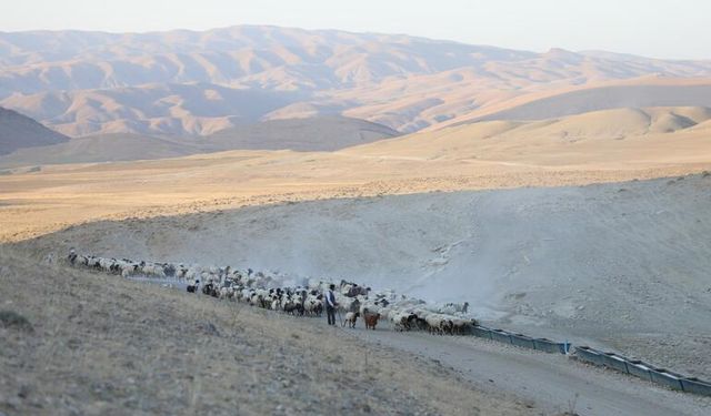 Koyun Sürüleri İçin Yaylalara Tanker İle Su Takviyesi