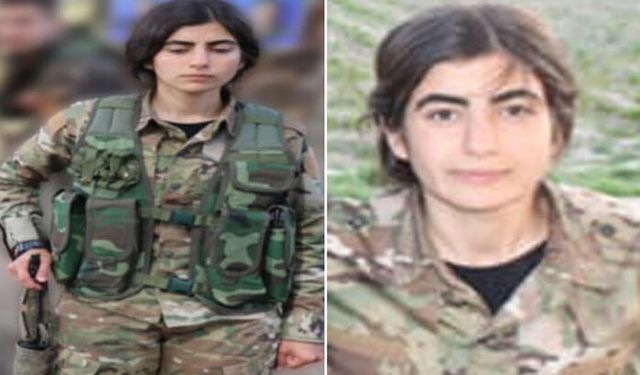 PKK'nın Sözde Sorumlusunu Suriye'de Etkisiz Hale Getirdi