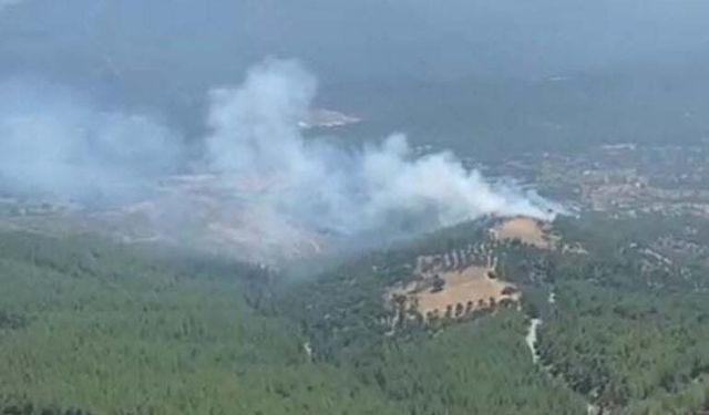 Muğla Orman Yangınında 1 Hektar Alan Zarar Gördü