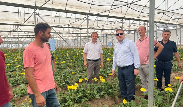 Kaymakam Demirayak Çiçek Üreticileri İle Bir Araya Geldi