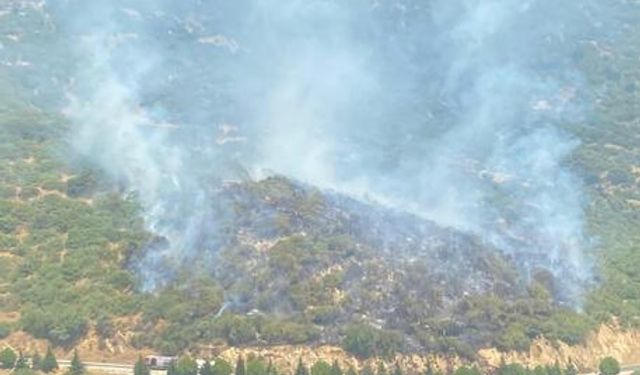 İzmir'de Otomobilde Çıkan Yangın Ormana Sıçradı