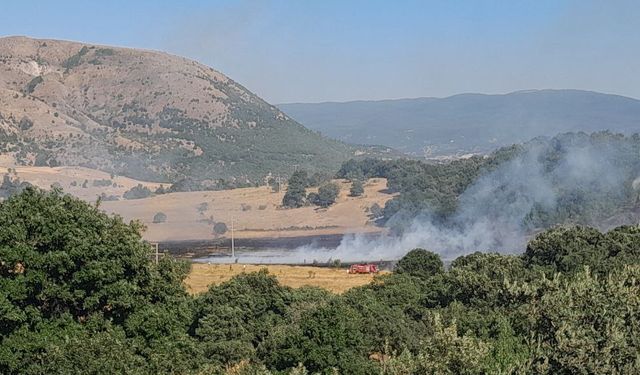 Reşadiye’de Arazide Çıkan Yangın Ormana Sıçramadan Söndürüldü