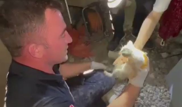 Erbaa’da Atık Su Borusuna Giren Yavru Kedi Kurtarıldı
