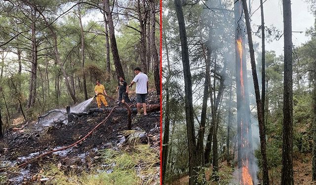 Muğla'da 1 Günde Yıldırım Sebebiyle 36 Yangın Çıktı