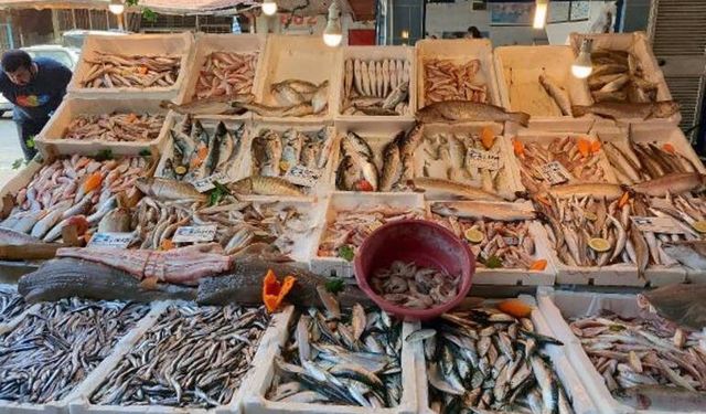 Akdeniz’de Av Yasağı Kalkınca Balık Fiyatları Yüzde 80 Düştü