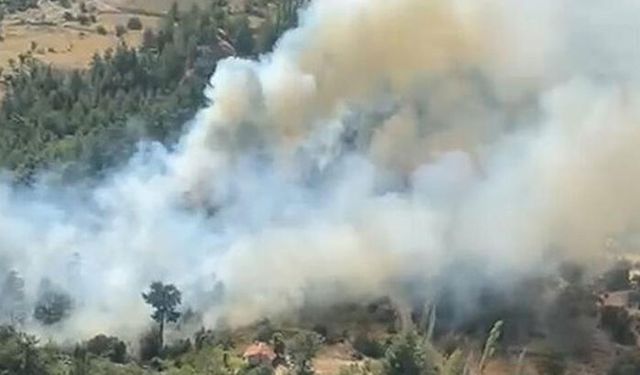 Antalya’da Orman Yangını