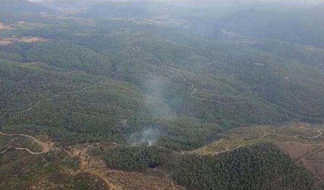 Manisa Akhisar'da Orman Yangını