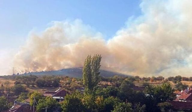 Eskişehir’de Orman Yangını