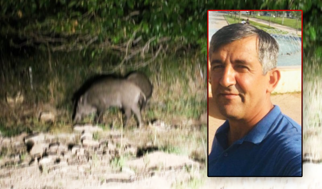Domuz Nöbetinde Yanlışlıkla Oğlunu Öldüren Baba: Hışırtı Gelince Ateş Ettim