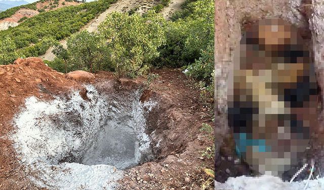 Köpeklerin Öldürülerek Çukura Atıldığı İddiasına İnceleme Başlatıldı