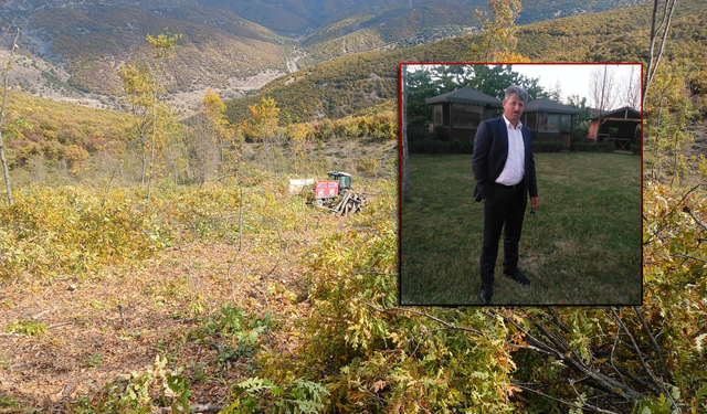 Zile’de Ormanda Odun Keserken Vuruldu