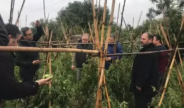Dolu Yağışı Ekili Alanlara Zarar Verdi
