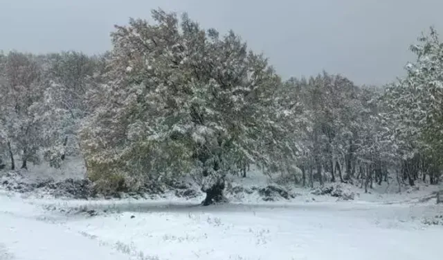 Yüksek Kesimlere Sezonun İlk Karı Düştü