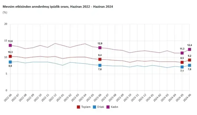 TÜİK: Haziranda İşsizlik Oranı Yüzde 9,2'ye Yükseldi