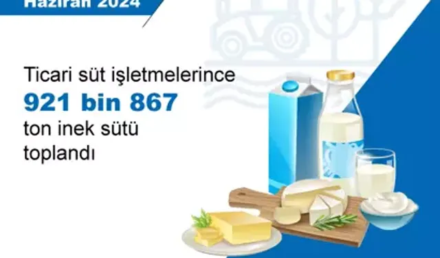 TÜİK: Haziranda Yumurta, Tavuk Eti Ve İçme Sütü Üretimi Arttı