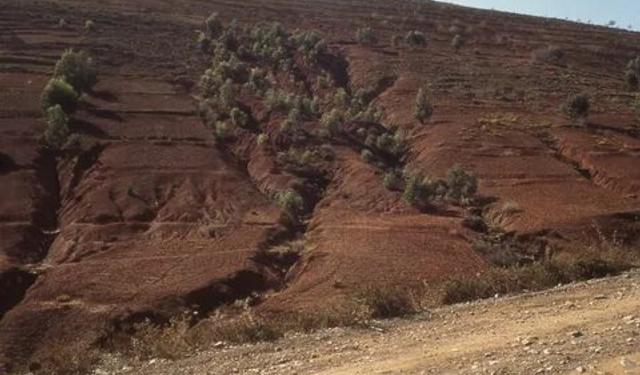 Toprak Erozyonu ve Orman Yangınlarının Ekosistem Üzerindeki Etkileri