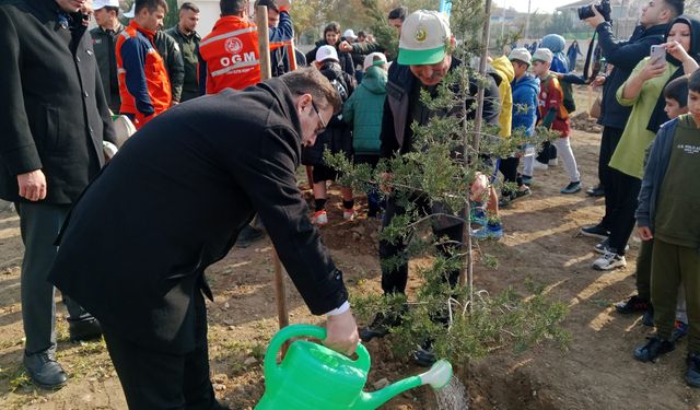 Erbaa'da 11 Kasım Milli Ağaçlandırma Günü'nde 500 Fidan Toprakla Buluştu