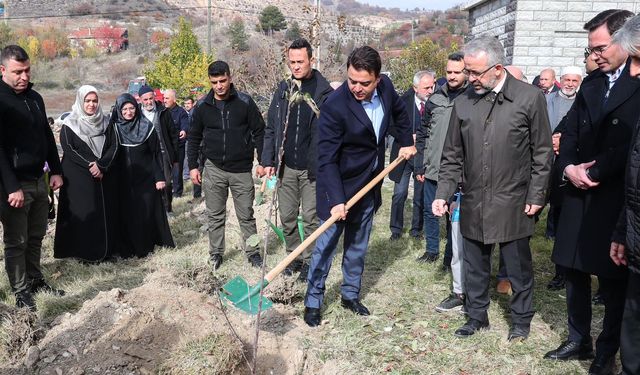 Diyanet ve Türkiye Diyanet Vakfı, Tokat’ta Fidan Dikme Etkinliği Gerçekleştirdi