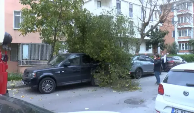 Bakırköy'de Şiddetli Rüzgar Nedeniyle Ağaç Park Halindeki İki Aracın Üzerine Devrildi