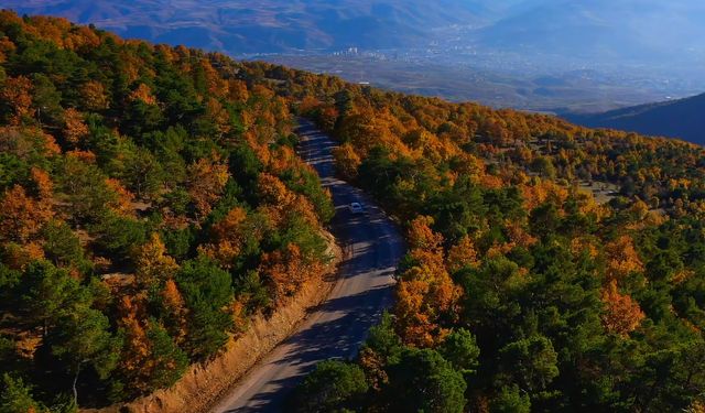 Tokat'ta Sonbaharın Büyüleyici Renkleri