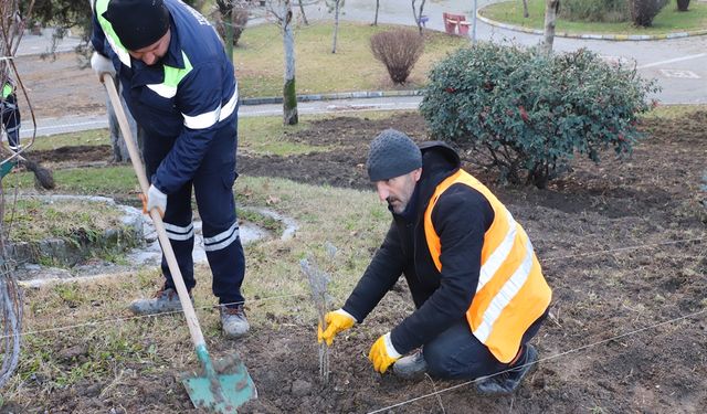 Başkan Erdem: Turhal Lavanta Kokusuyla Parlayacak