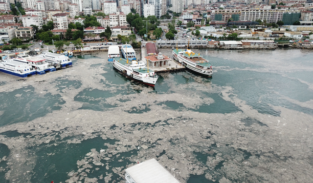 Deniz Kirliliğiyle Mücadele: Türkiye’nin Başarılı Projeleri