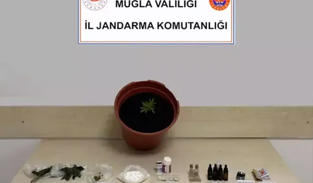 Jandarmadan Uyuşturucu Operasyonunda  1 Tutuklama