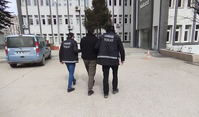 Tokat’ta Uyuşturucu Operasyonu 1 Tutuklama