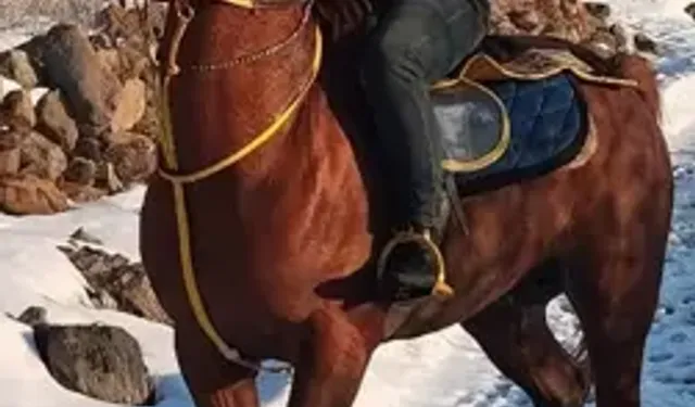 Cirit Sahasında Kalp Krizi: A.G Hayatını Kaybetti!