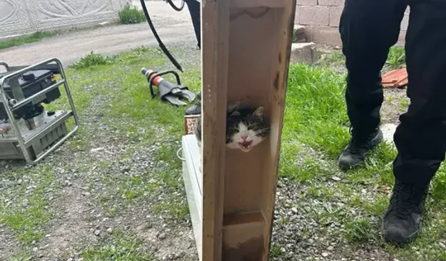 Kedinin İmdadına İtfaiye Yetişti: Dolaba Sıkışan Kedi Kurtarıldı