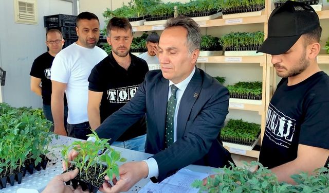 Tokat Gaziosmanpaşa Üniversitesi’nden Çiftçilere Fide Desteği: 1 Milyon Fide Desteği