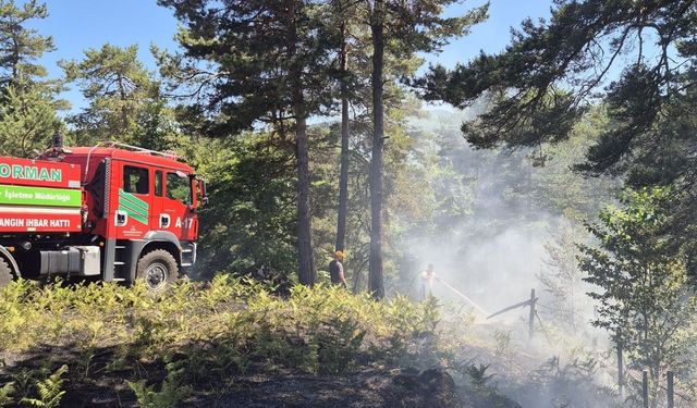 Niksar Çamiçi Yaylası’nda Orman Yangını Büyümeden Söndürüldü