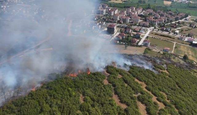 Niksar’da  Maki Yangınında 15 Dönüm Alan Zarar Gördü