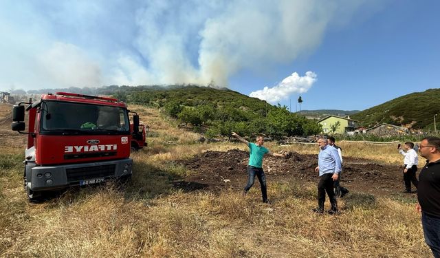 Niksar’da Orman Yangını Paniği: Ekipler Alevlere Karşı Seferber Oldu