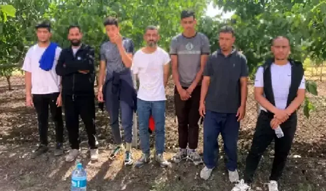 9 Kaçak Göçmen Jandarma Tarafından Yakalandı