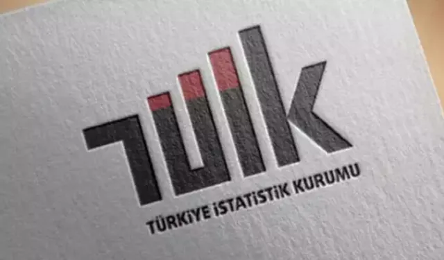TÜİK: Türkiye’nin Beşeri Sermaye Endeksi 2023’te Geriledi