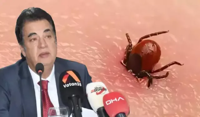 Prof. Dr. Şengönül: KKKA’da Yüzde 90 Başarı Oranı Sağladık